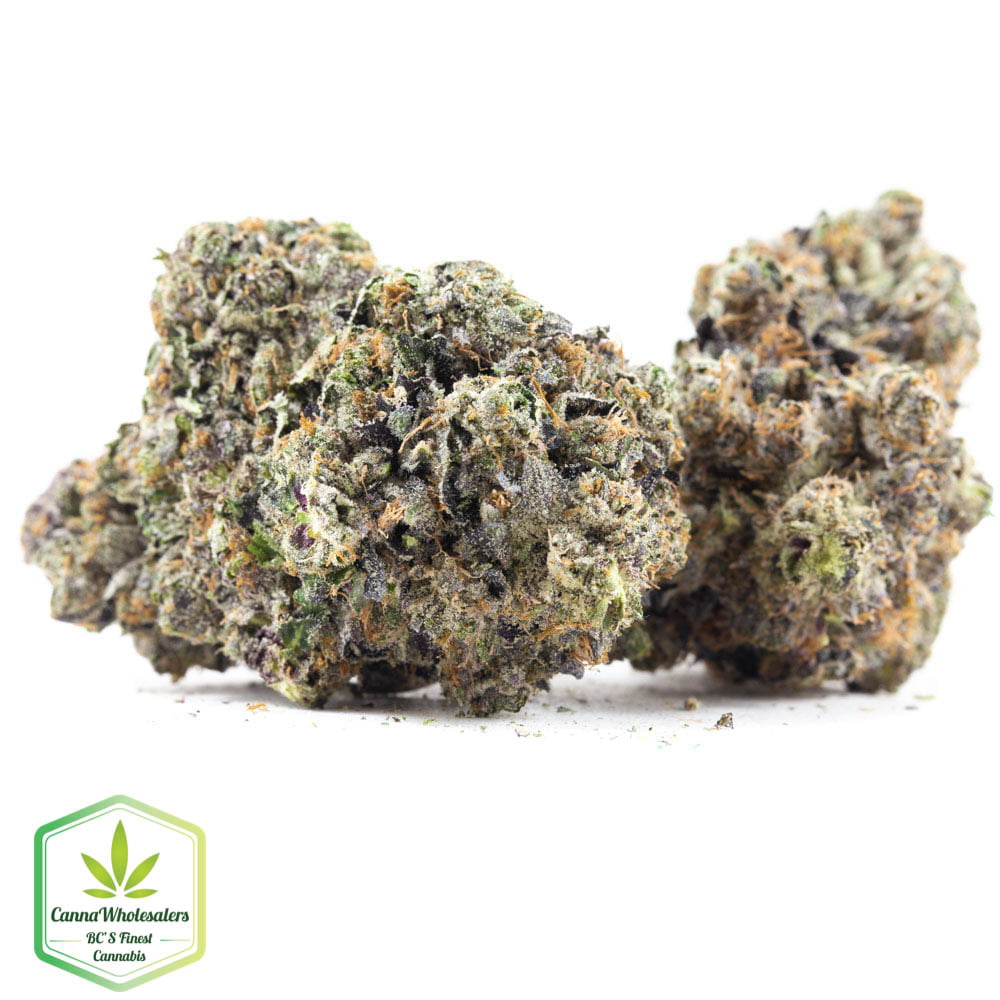 Pink Champagne – Budget Ounce