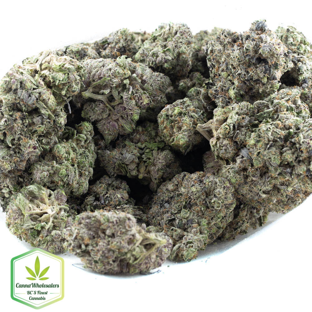 Black Tuna – Budget Ounce