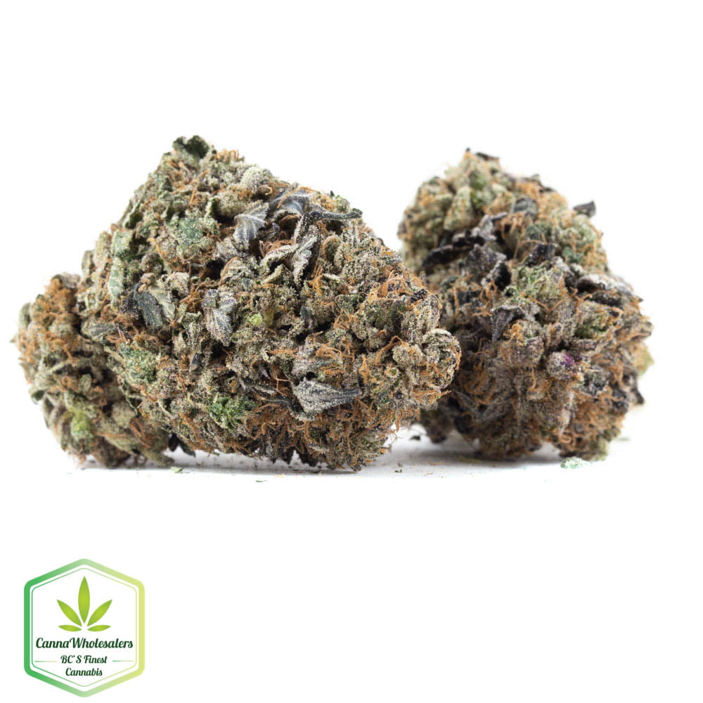 AAA+ Budget Oz – CWS Purple Space Monkey – $65