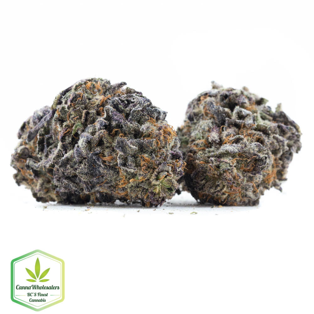 Blue Widow – Budget Ounce
