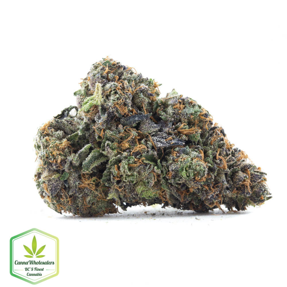 Purple Diesel