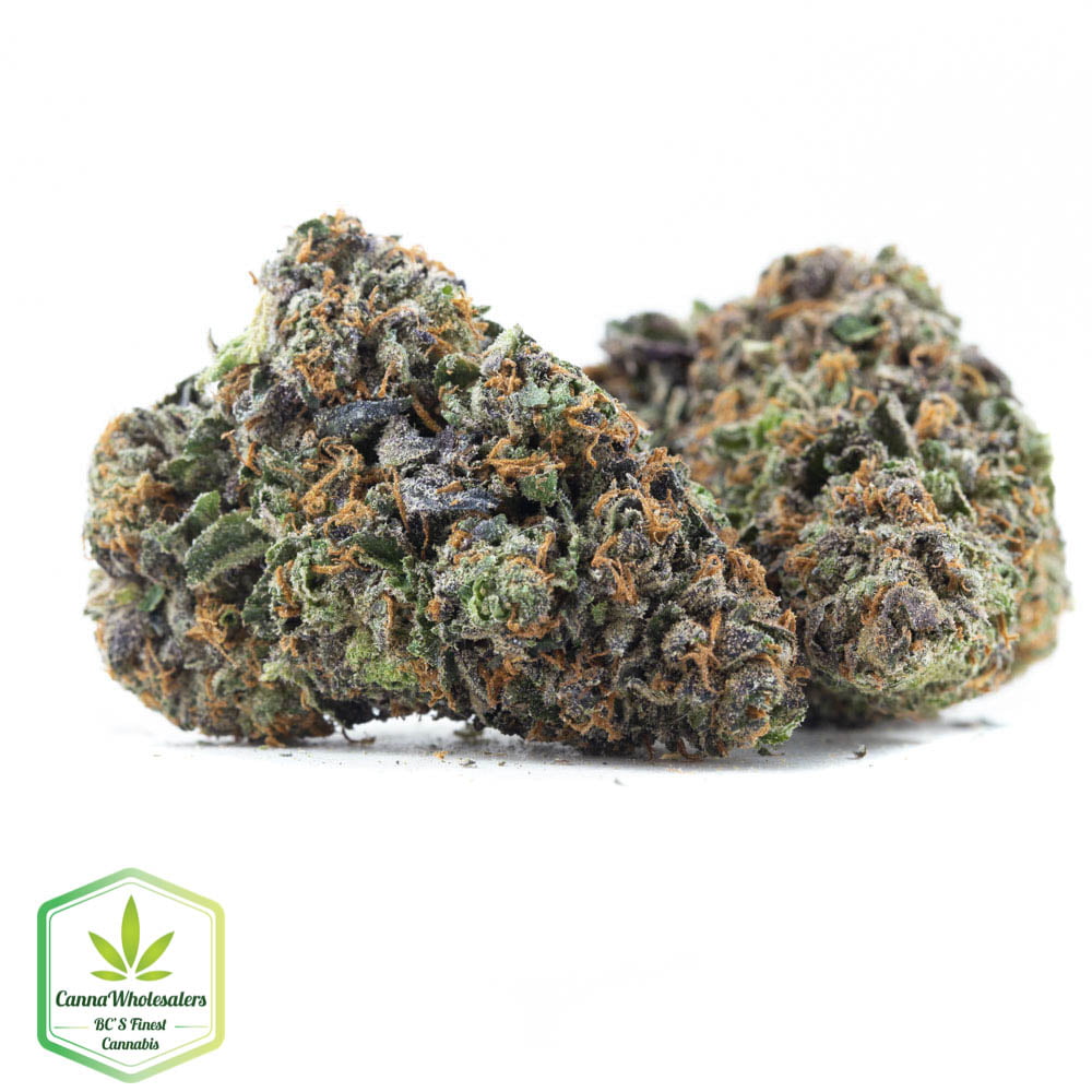 Purple Diesel