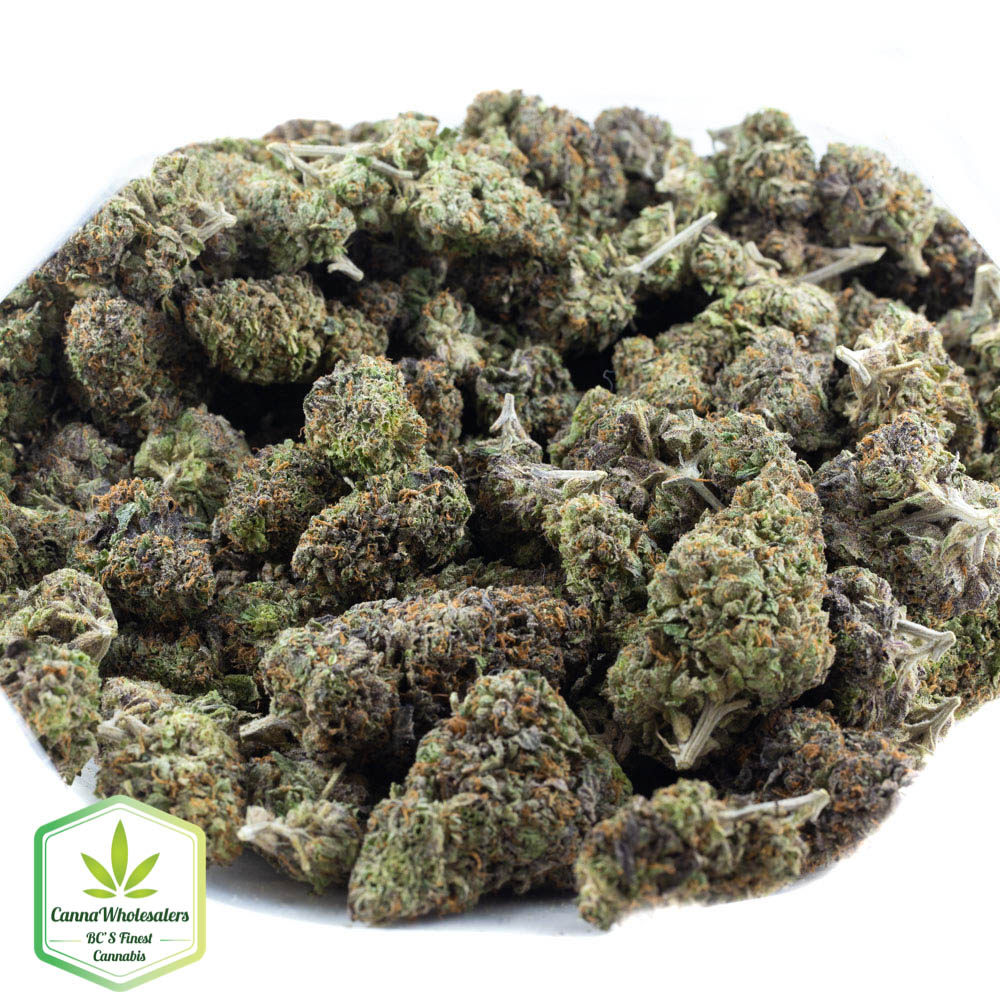 Purple Diesel