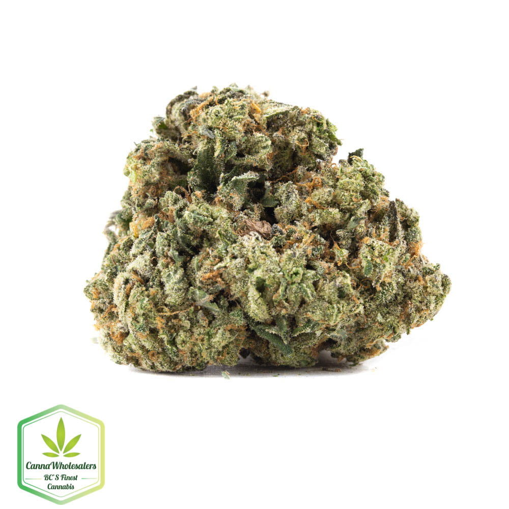 Cannawholesalers – Lemon Haze