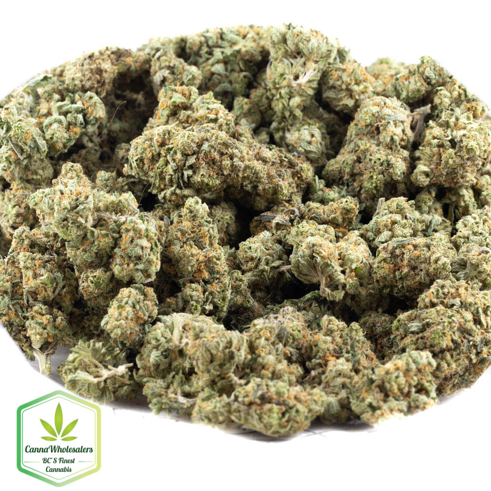 Cannawholesalers – Lemon Haze