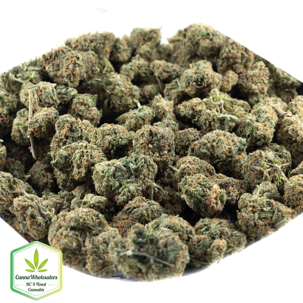 Amnesia Haze
