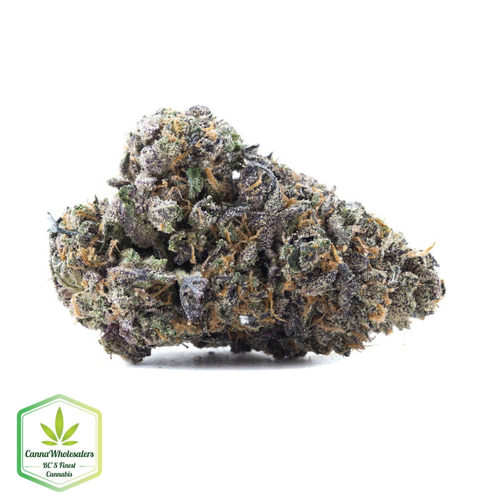 PermaFrost