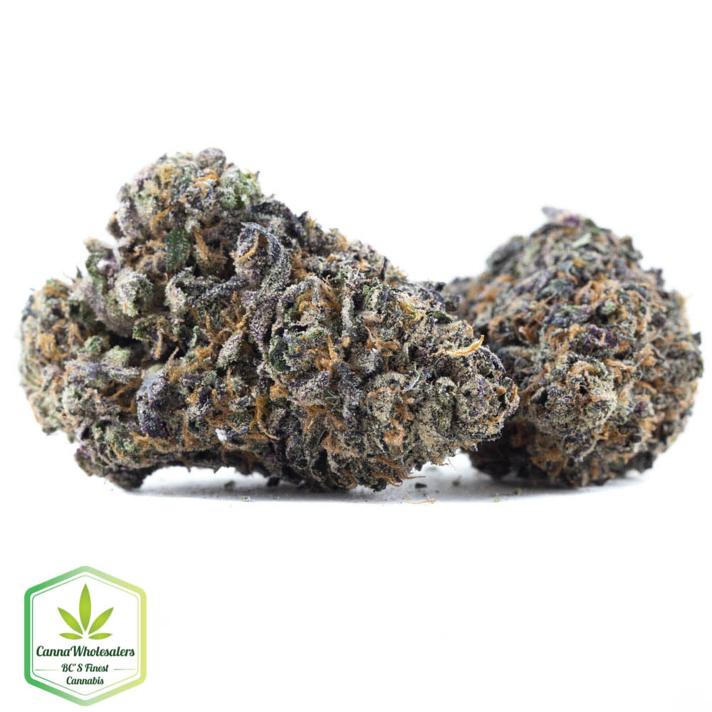 PermaFrost