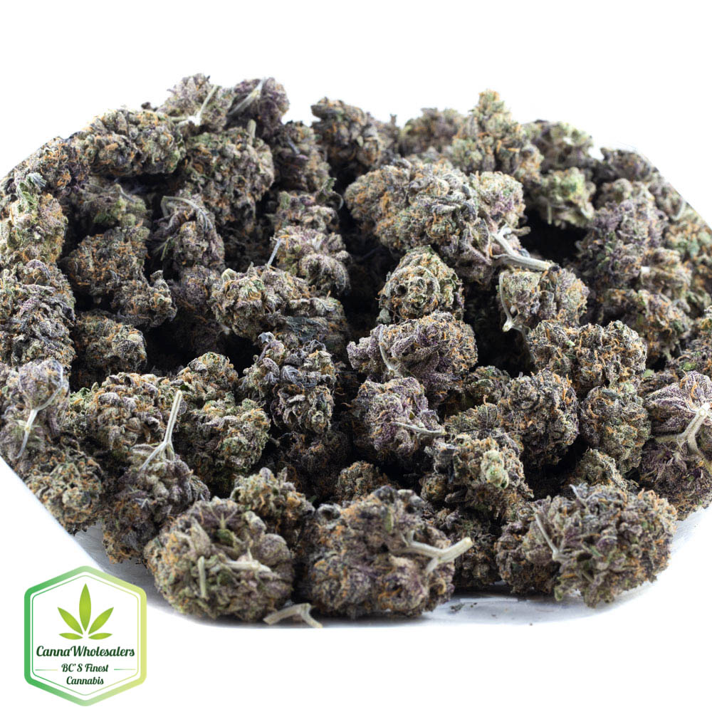 PermaFrost