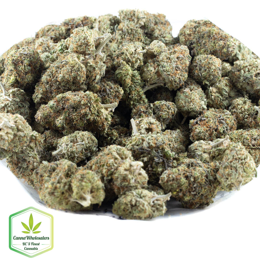 White Romulan