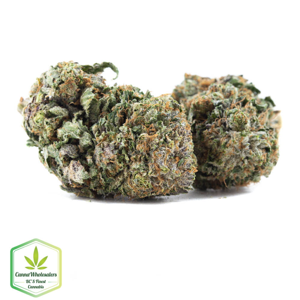 Budget Oz – Cannawholesalers – Pink Rockstar