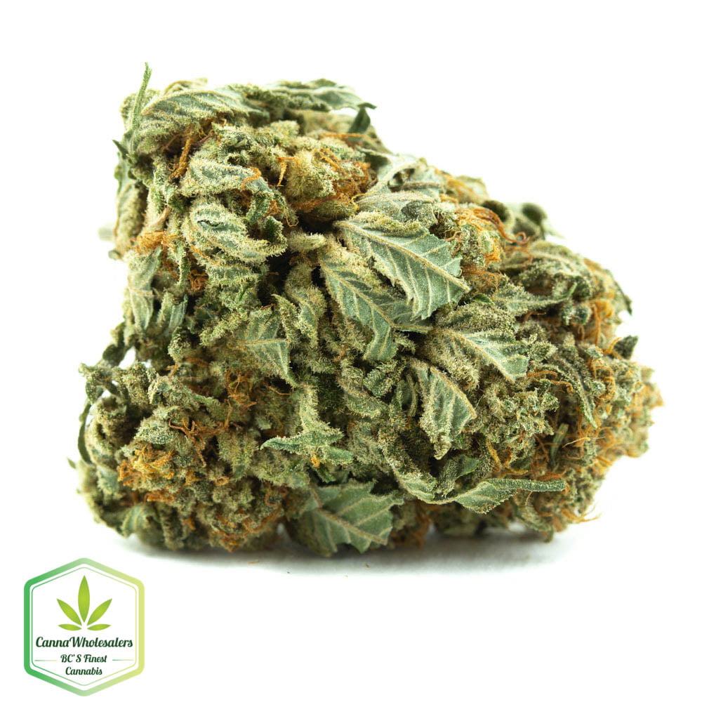 Sour OG