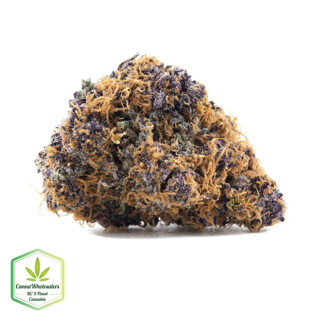 Purple Tangie