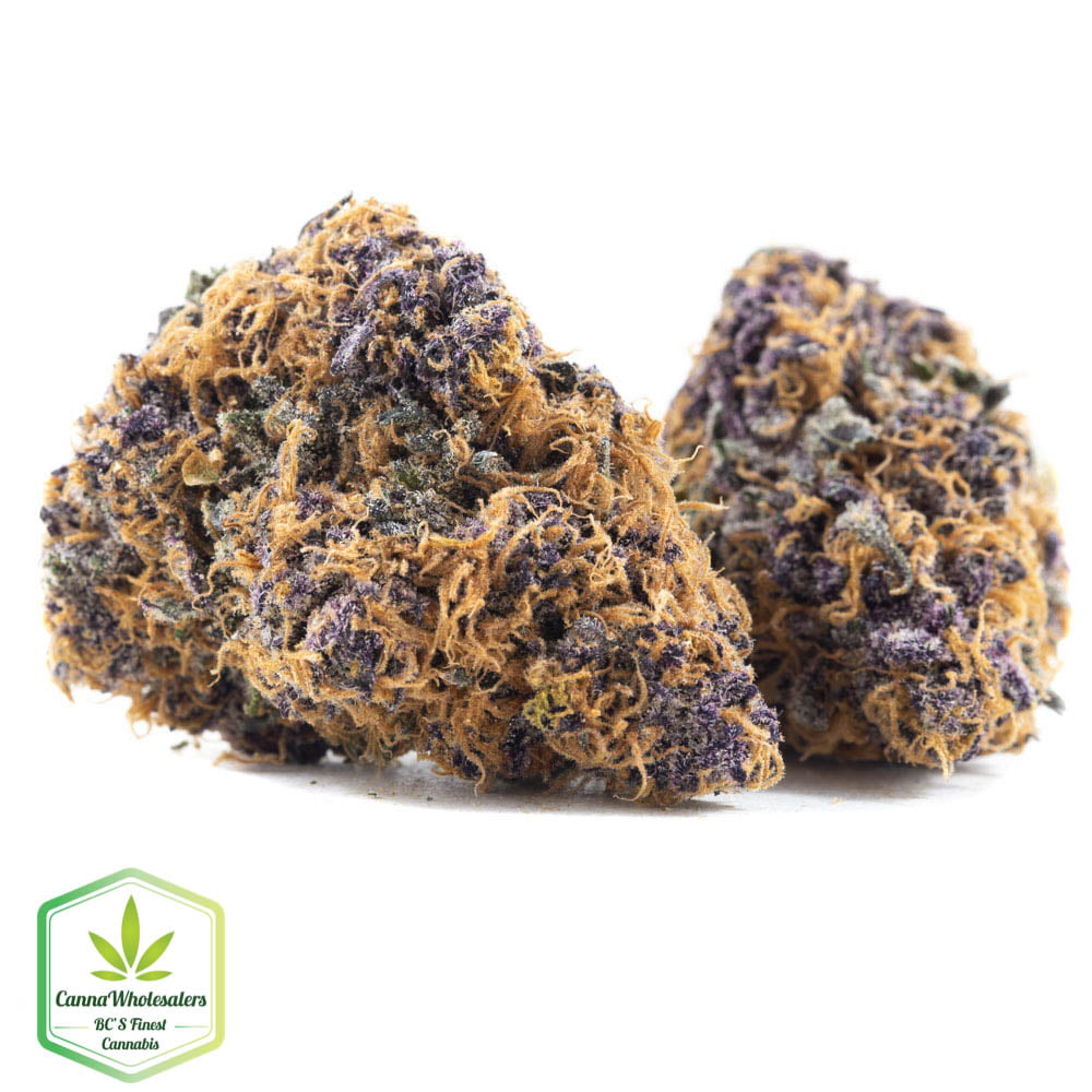 Purple Tangie – Budget Ounce