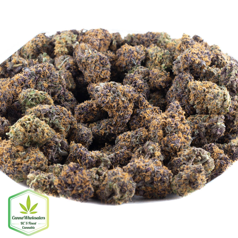 Purple Tangie