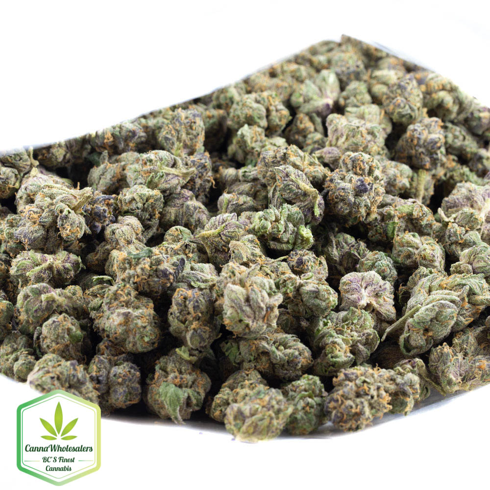 Fruity Pebble Og (Smalls)