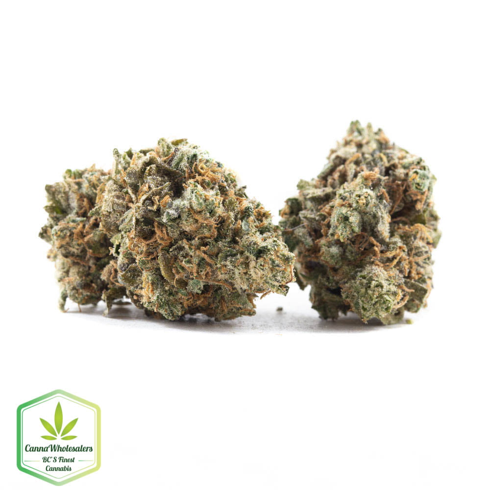 GMO Cookies – Budget Ounce