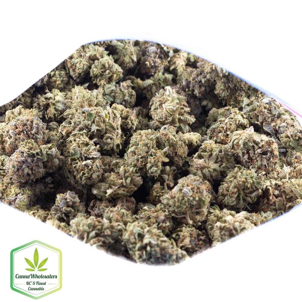 Marionberry Kush