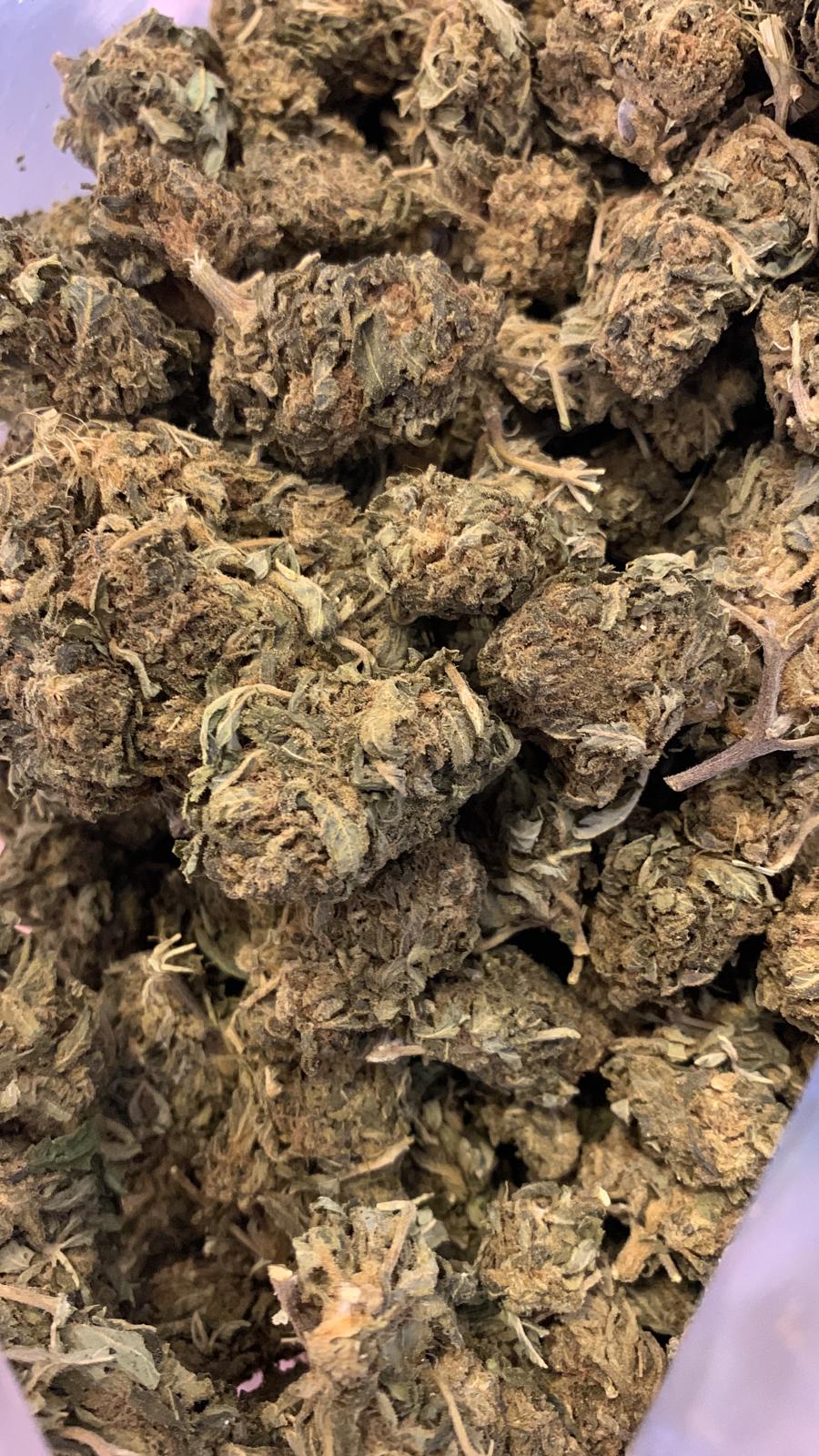 Greenhouse – Hades OG