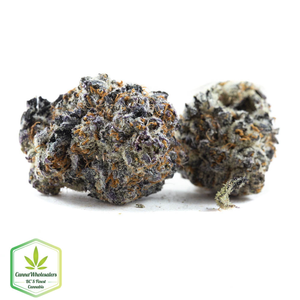 Budget Oz – Dragon Fruit