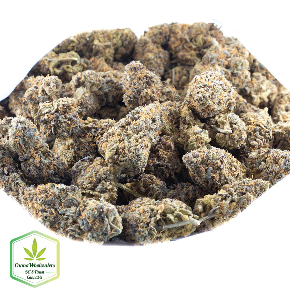 Blueberry