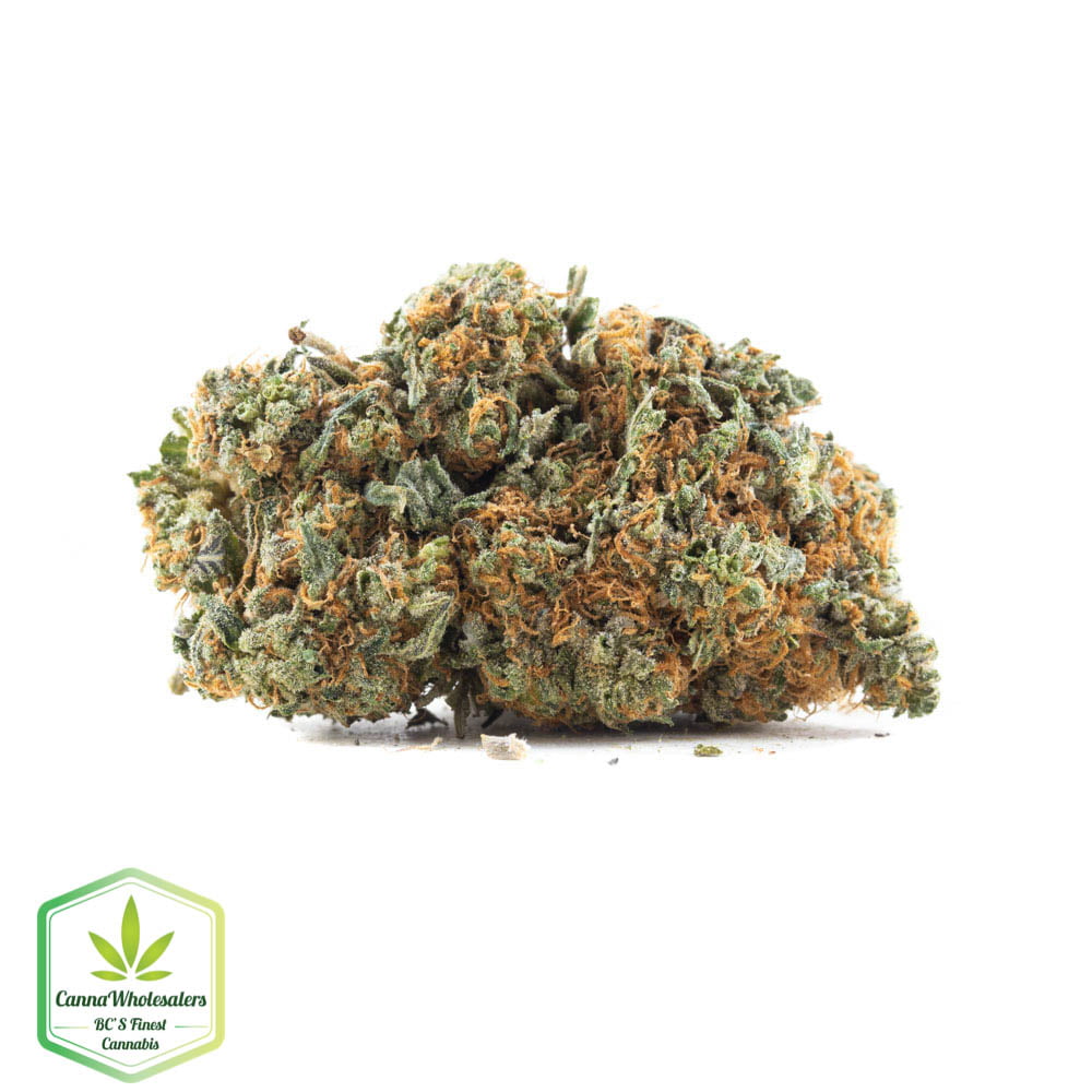 Island Sweet Skunk