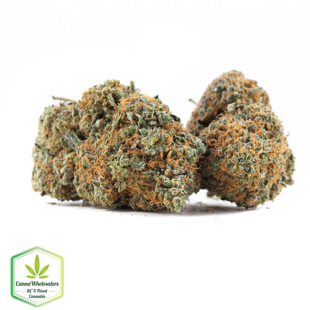 Island Sweet Skunk