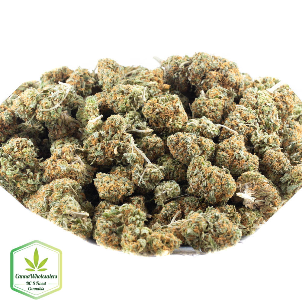Island Sweet Skunk