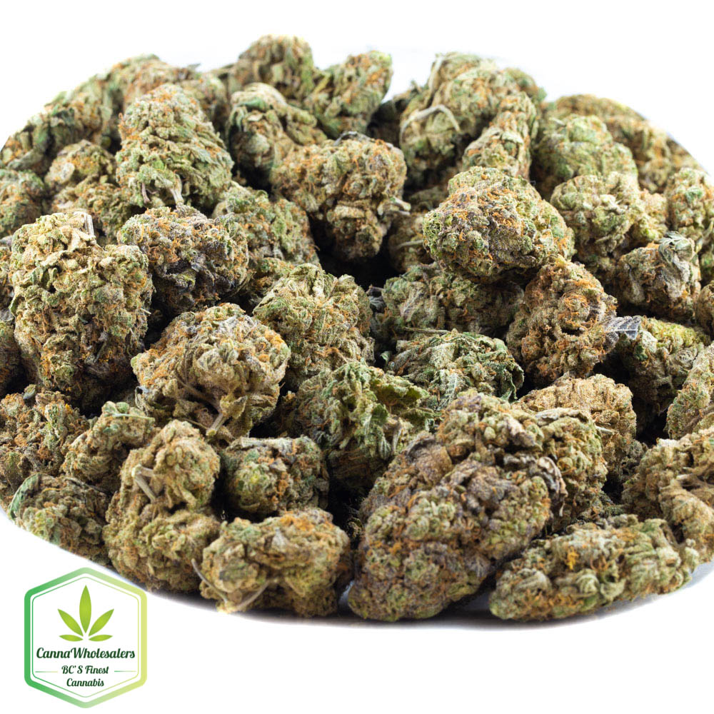 Peanut Butter Breath
