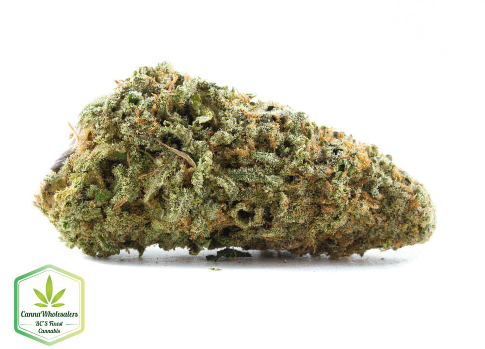 Cannawholesalers – Orange Hill Special