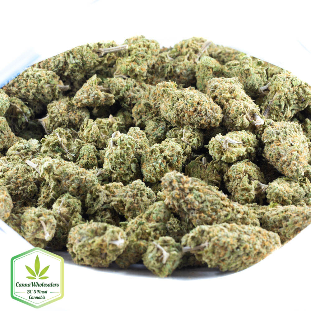 Cannawholesalers – Orange Hill Special
