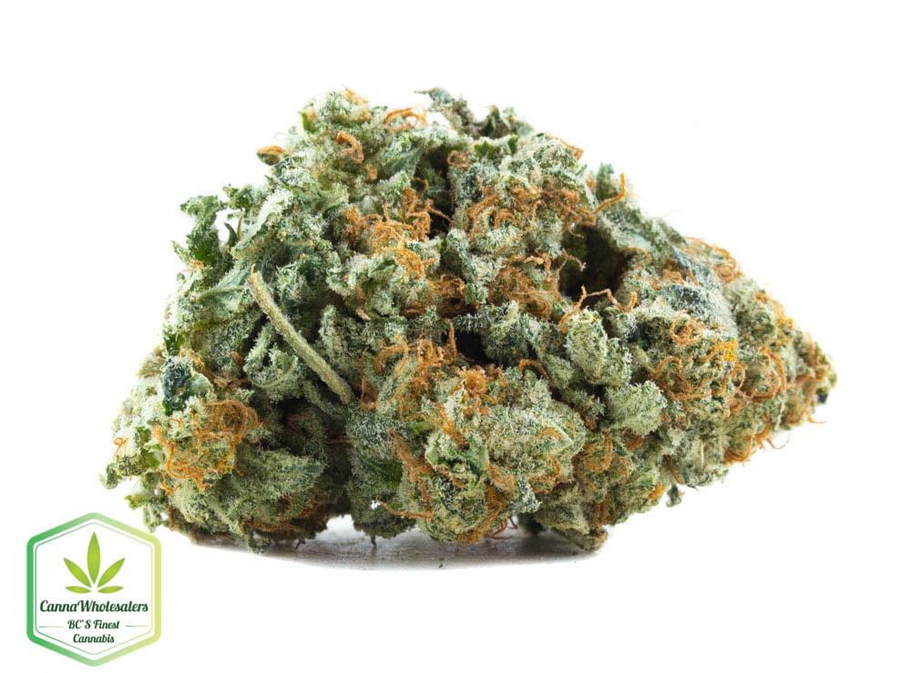 Silver Haze