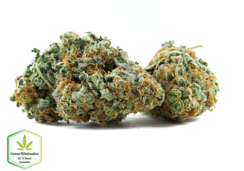 Silver Haze