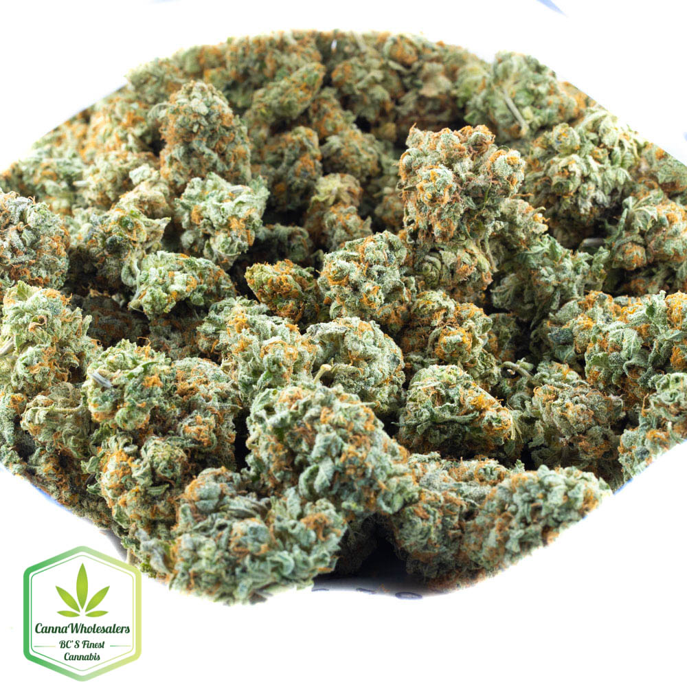 Silver Haze