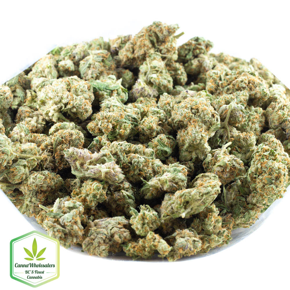 Confidential Cheese