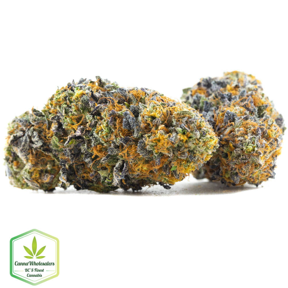 Rainbow – Craft Gardens – Budget Ounce