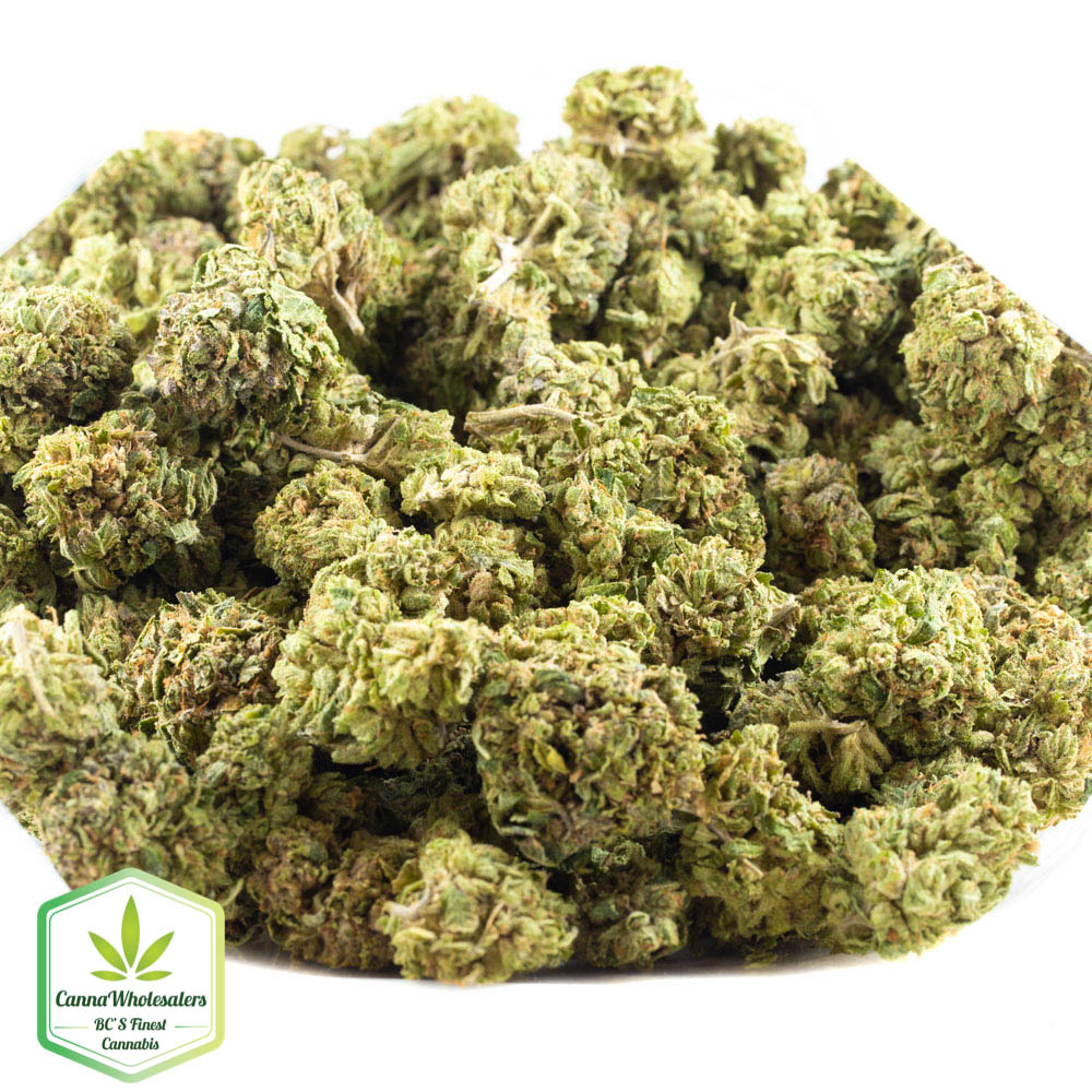 Presidential OG