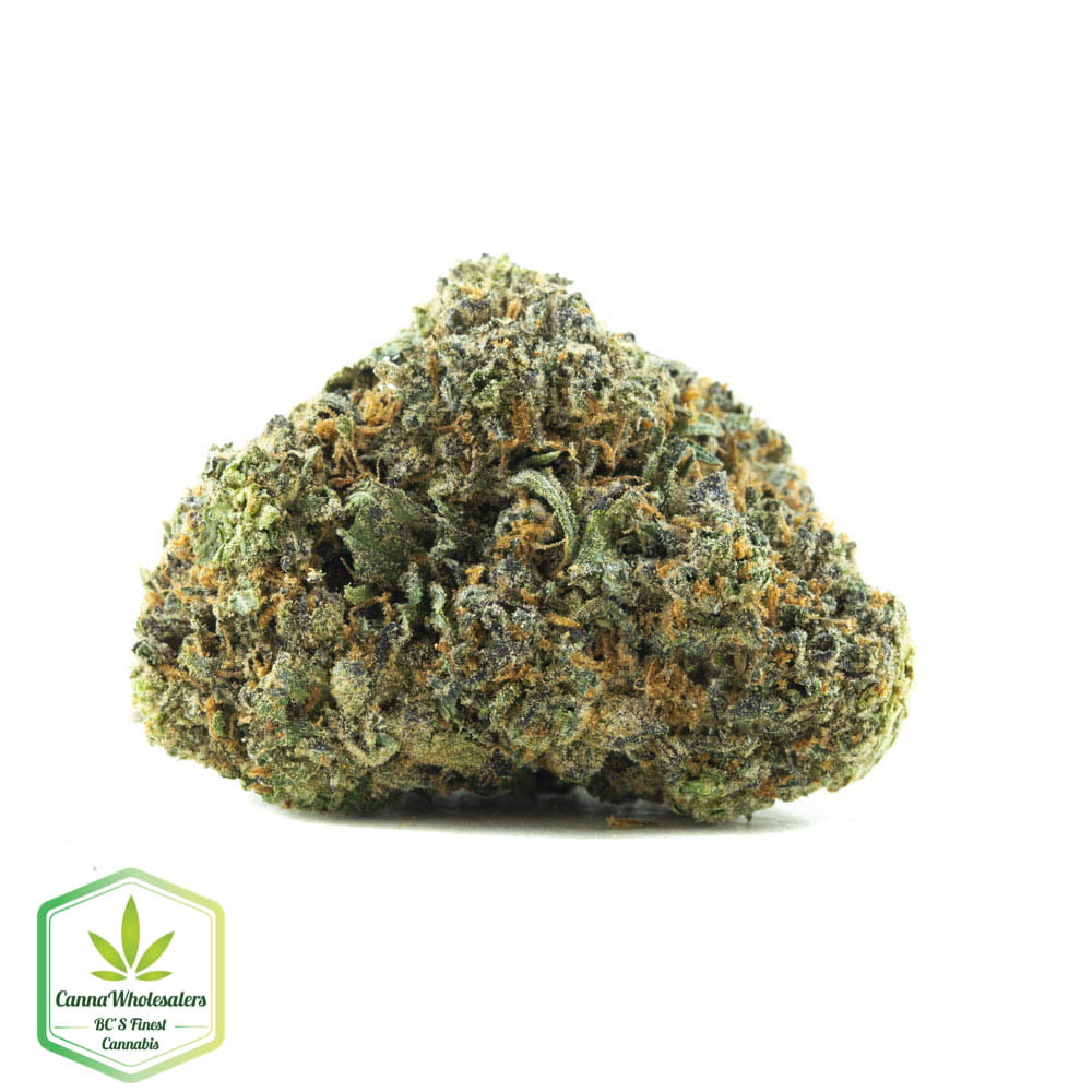 Cannawholesalers – Mataro Blue