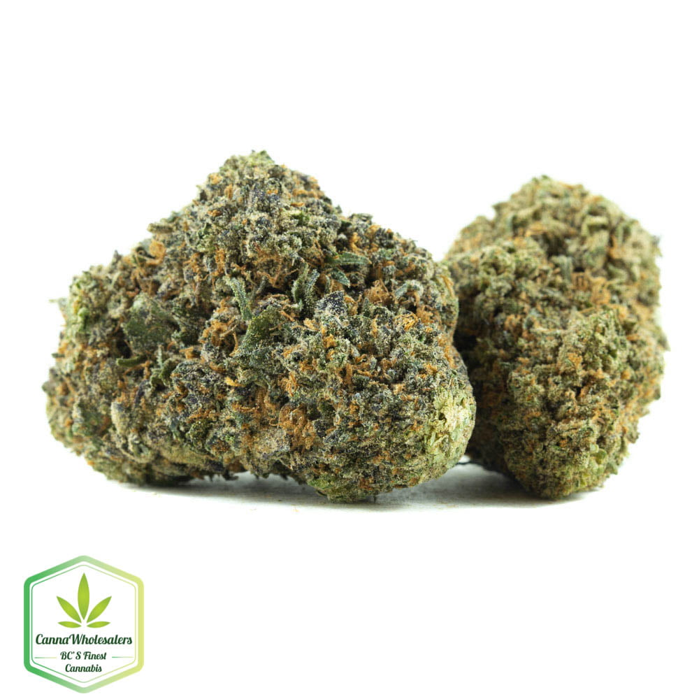 Cannawholesalers – Mataro Blue