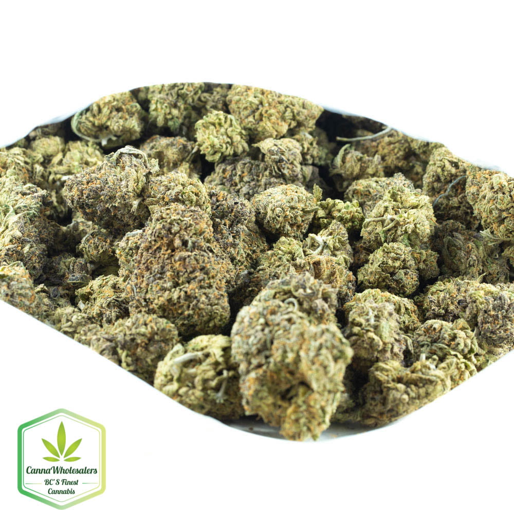 Cannawholesalers – Mataro Blue