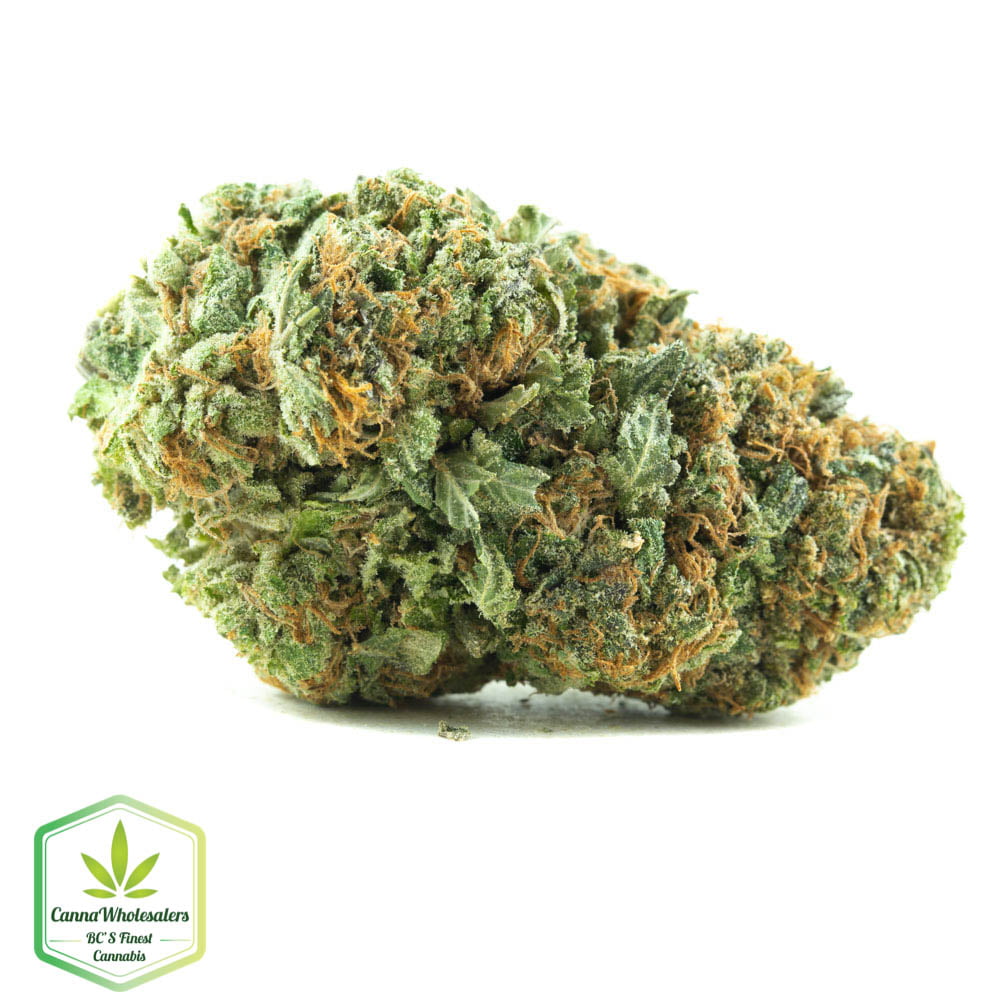 Cannawholesalers – Rockstar Kush