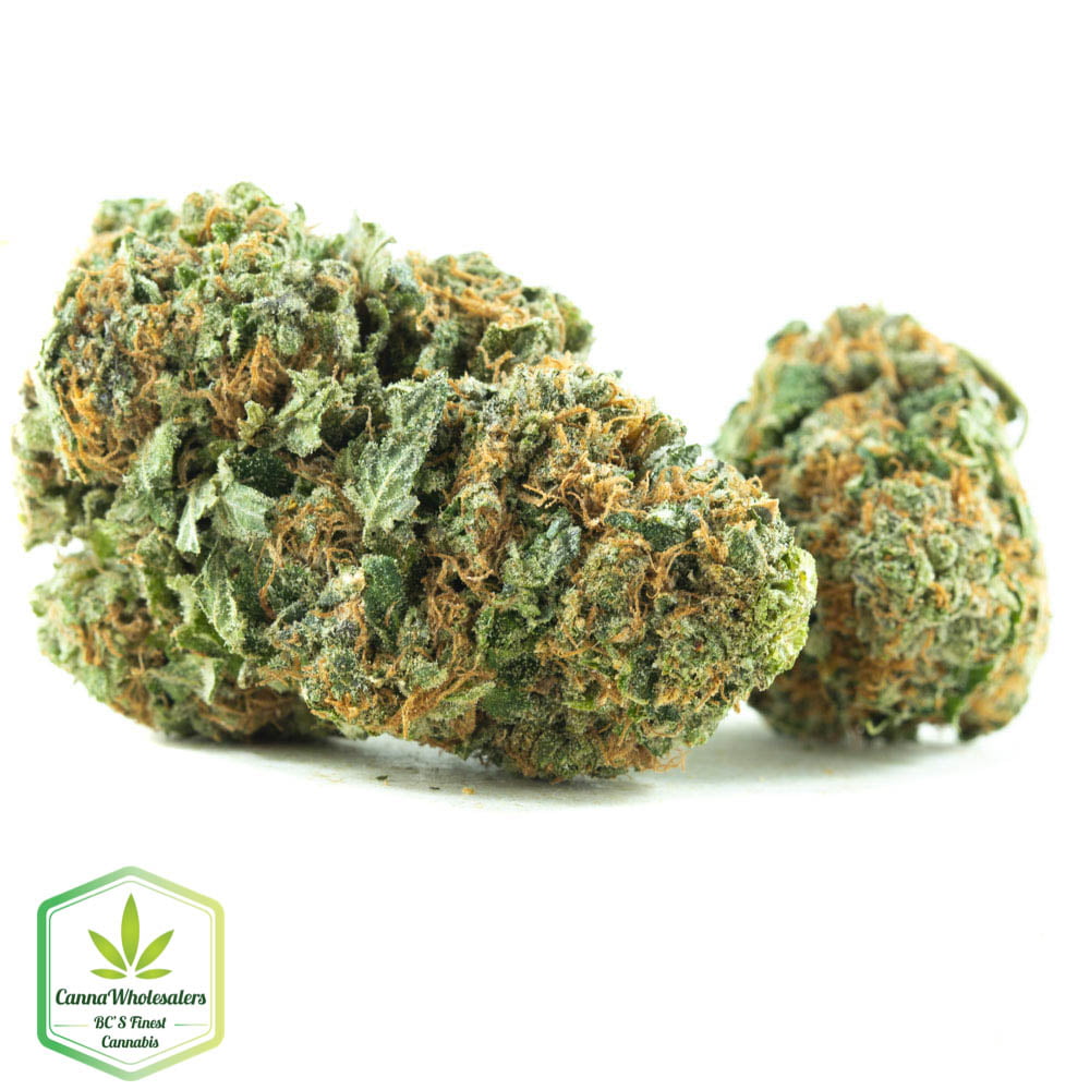 Cannawholesalers – Rockstar Kush