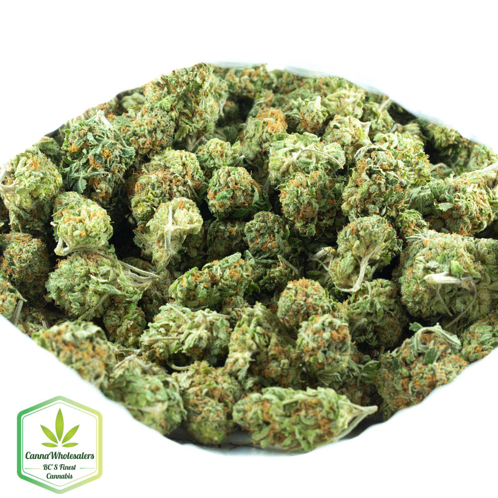 Cannawholesalers – Rockstar Kush