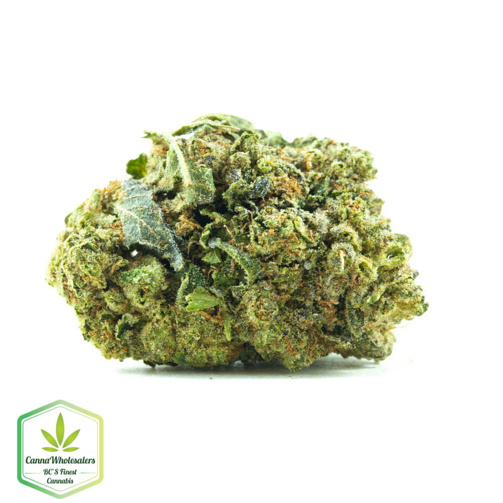 Ripped Bubba