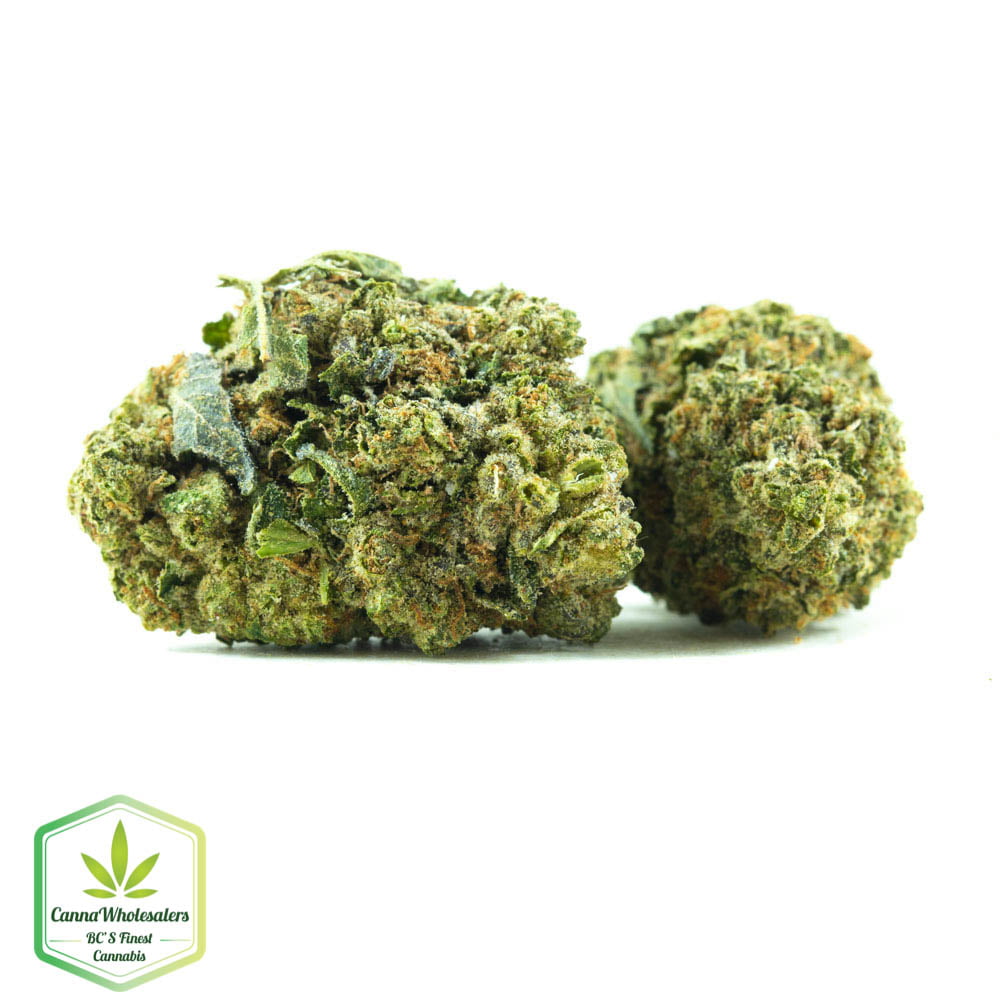 Ripped Bubba