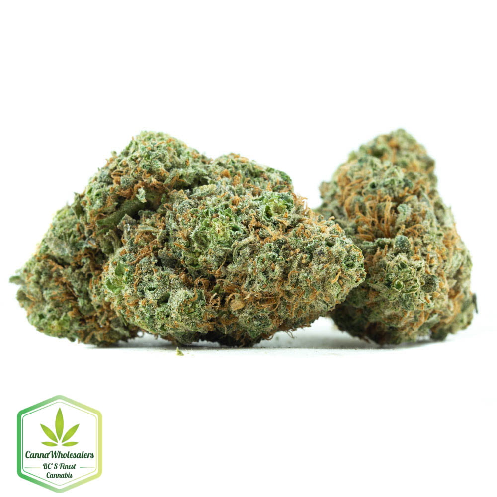 Island Maui Haze