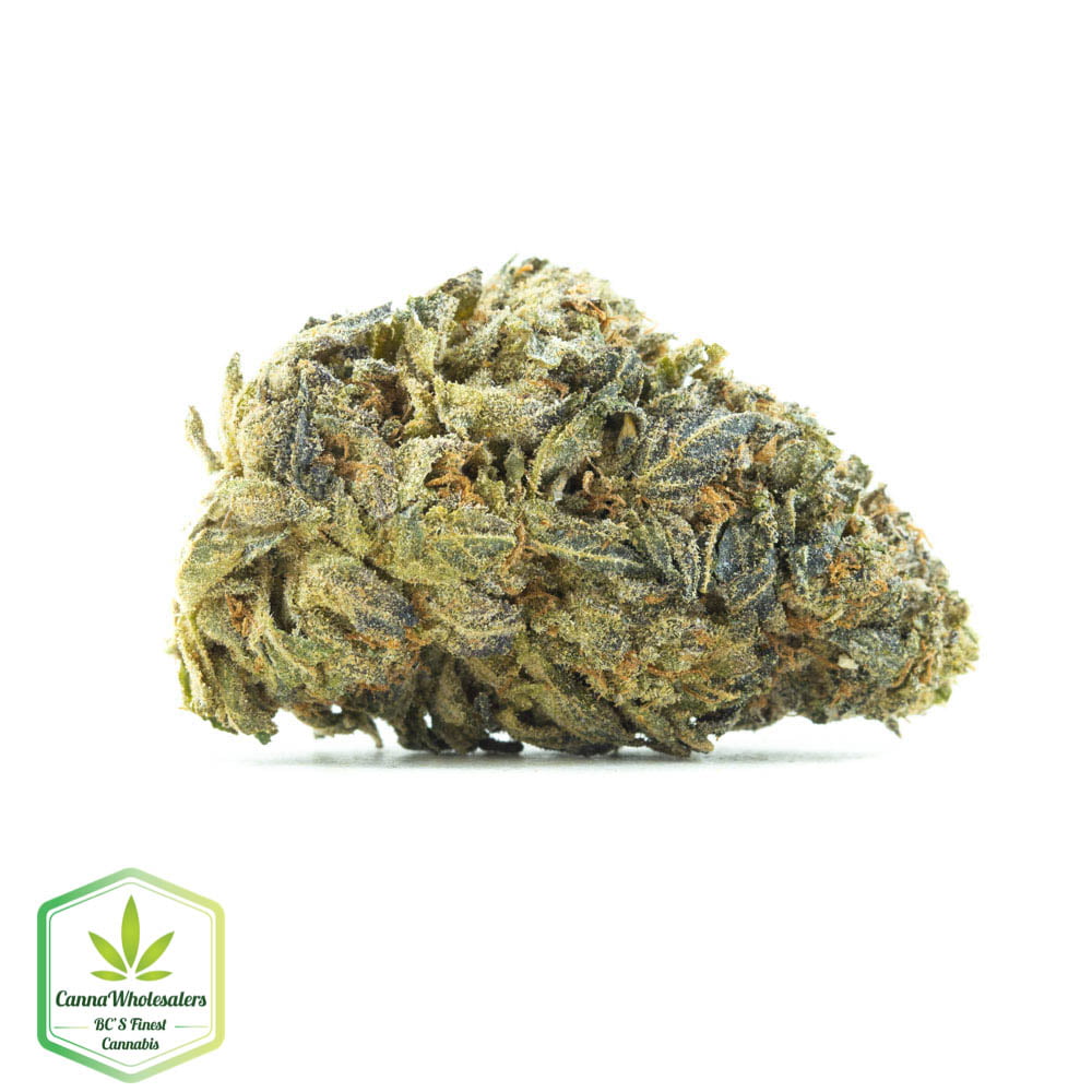 Chocolope