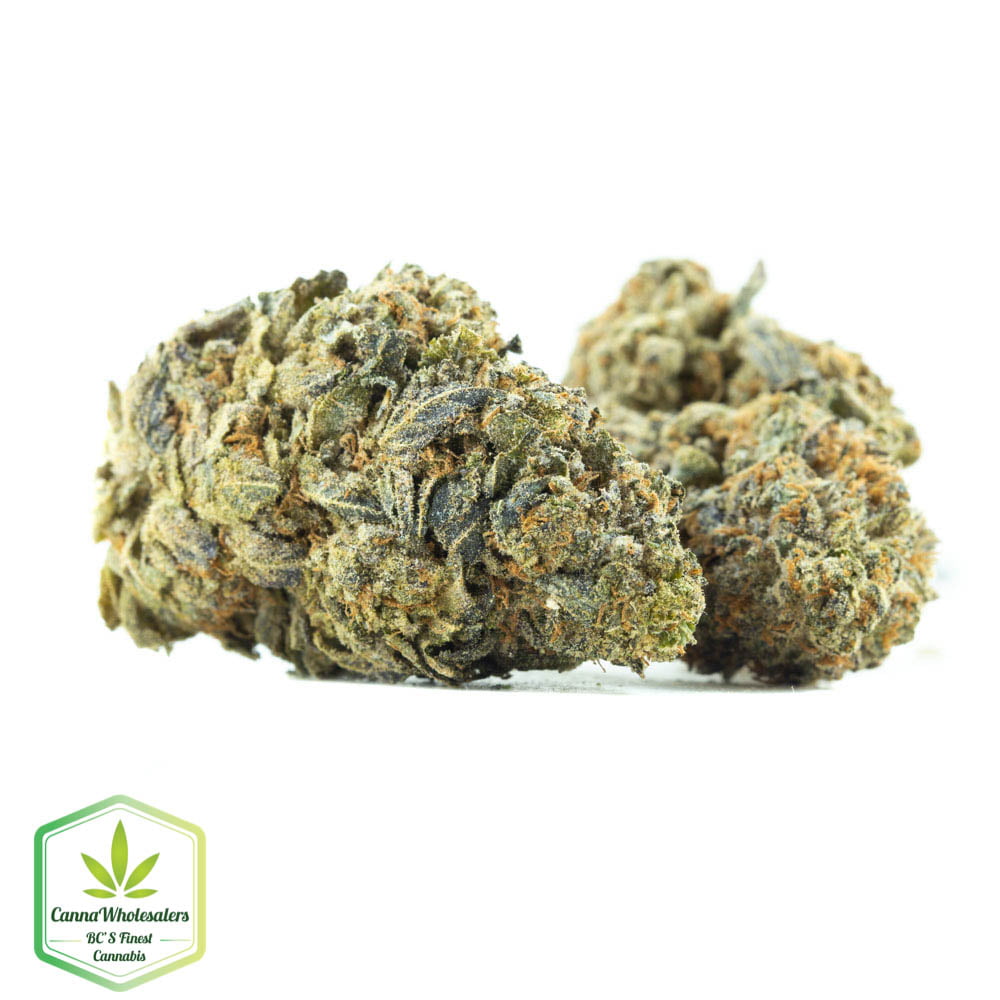 Chocolope