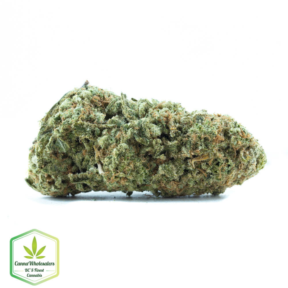 Acapulco Gold