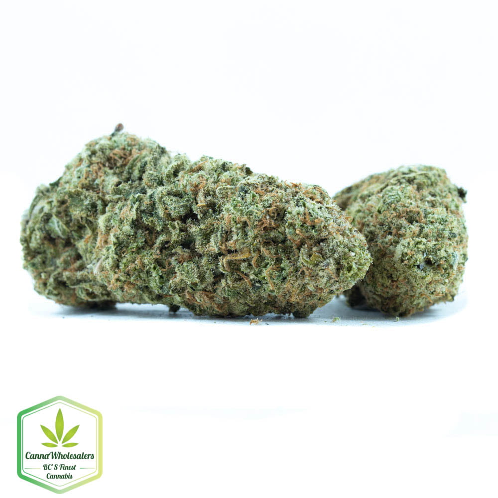 Acapulco Gold – Budget Ounce